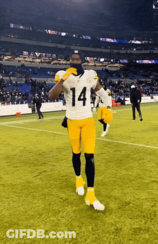 Football Player Number 14 On Field GIF