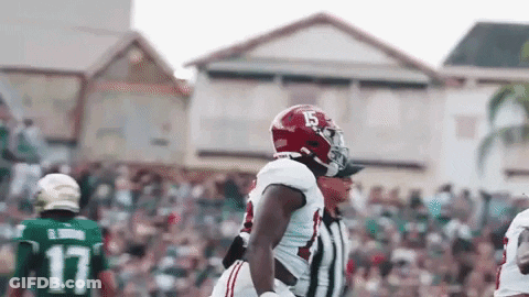 Football Player Number 15 GIF