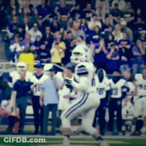 Football Player Number 16 GIF
