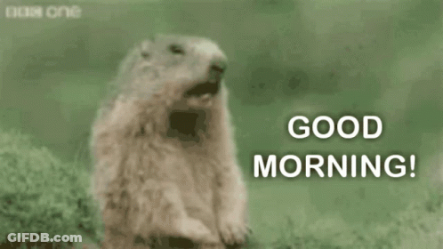 Football Player Number 20 GIF