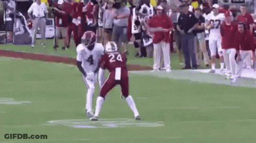 Football Player Number 24 Catching Pass GIF