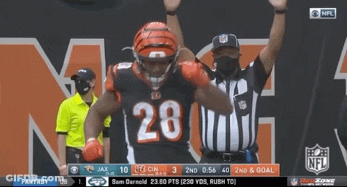Football Player Number 28 GIF