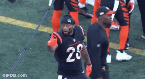 Football Player Number 28 On Field GIF