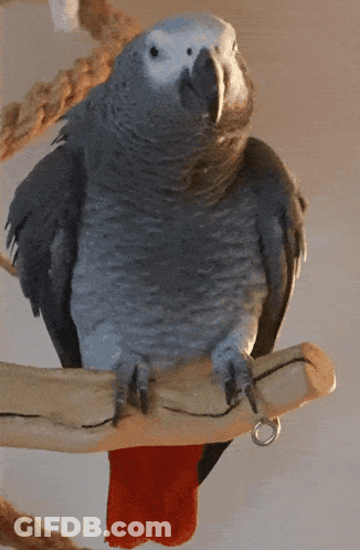 Football Player Number 29 GIF