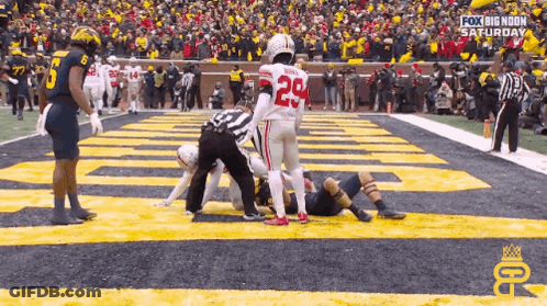 Football Player Number 29 On Field GIF