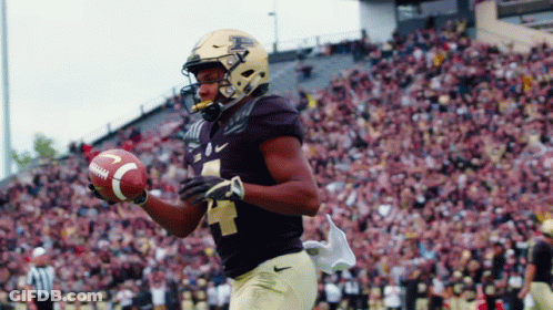 Football Player Number 4 GIF