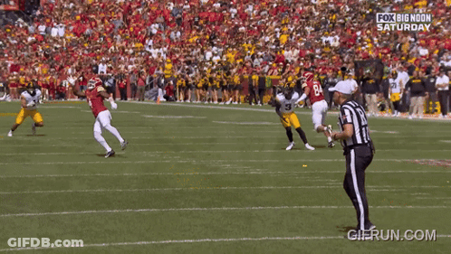 Football Player Number 43 GIF