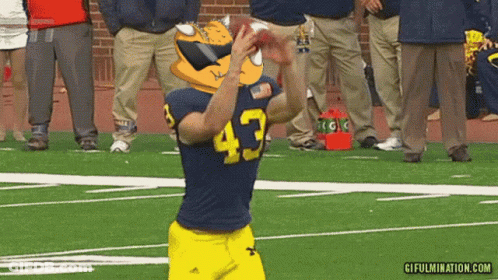 Football Player Number 43 Throws Ball GIF