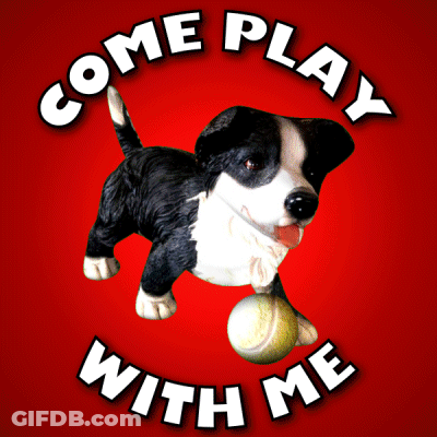 Football Player Number 6 GIF