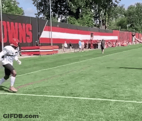 Football Player Running By Cleveland Browns Banner GIF