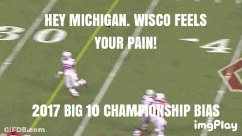 Football Player Running Hey Michigan Wisco Feels Your Pain GIF