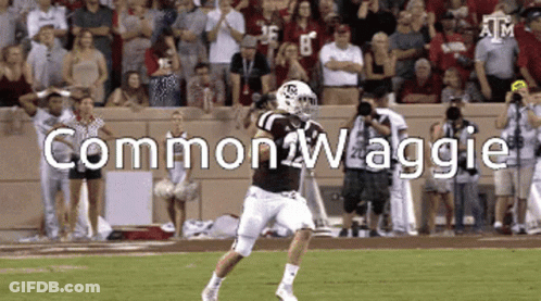 Football Player Running With Common Waggie GIF