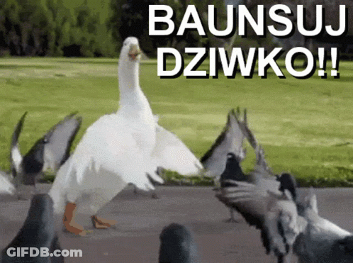 Football Player Saying You Woke Up The Wrong Mfr GIF