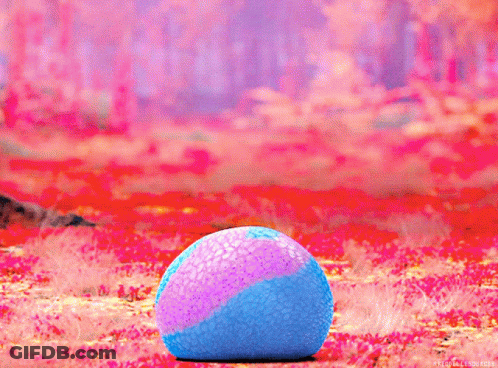 Football Player Travis Kelce GIF