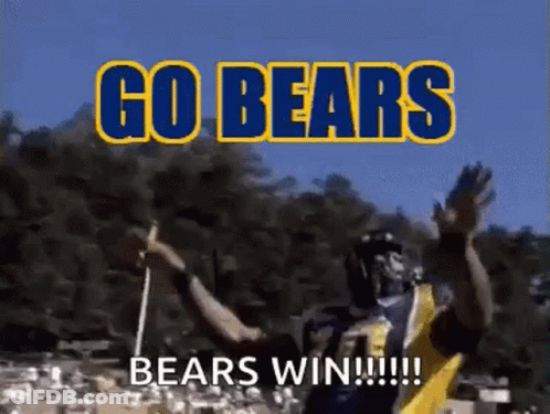 Football Player Waving Flag In Front Of Crowd GIF