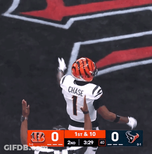 Football Player Wearing Chase Helmet GIF