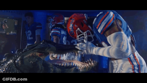 Football Player Wearing Gators Helmet GIF