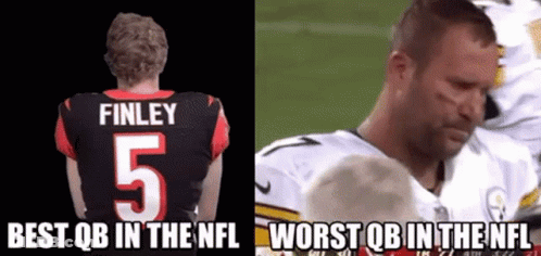 Football Player With Finley On Back GIF