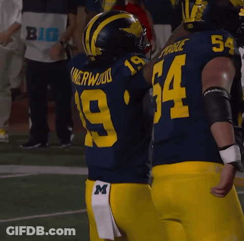 Football Players 19 And 54 GIF