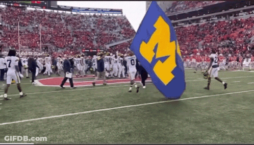 Football Players Carrying Blue And Yellow Flag With Letter M GIF