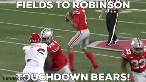 Football Players On Field Fields To Robinson Touchdown Bears GIF