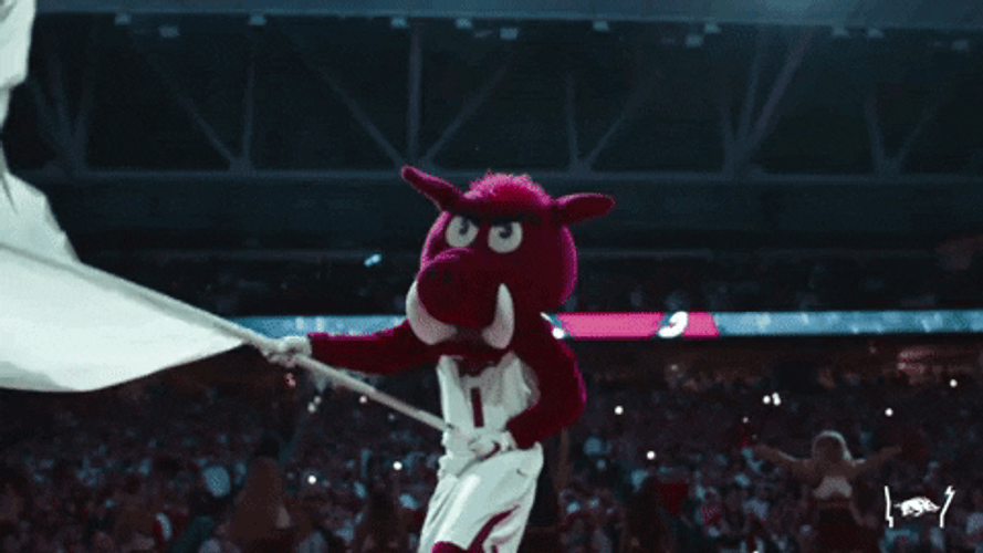 Football Players Rise And Shine In Hawaii GIF