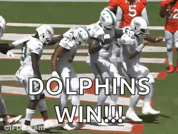 Football Players Running On Field Saying Dolphins Win GIF