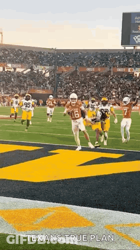 Football Players Running With Texans True Plan GIF