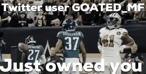 Football Players Standing Before Crowd GIF