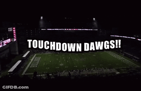 Football Stadium Saying Touchdown Dawgs GIF