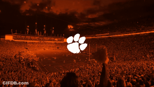 Football Stadium With Clemson Logo GIF