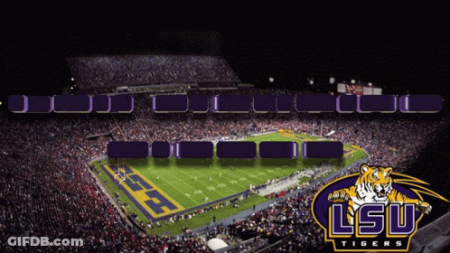 Football Stadium With LSU Tigers Logo GIF