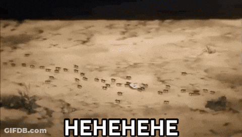 Footprints In The Sand With The Word Henehene Written Above Them GIF