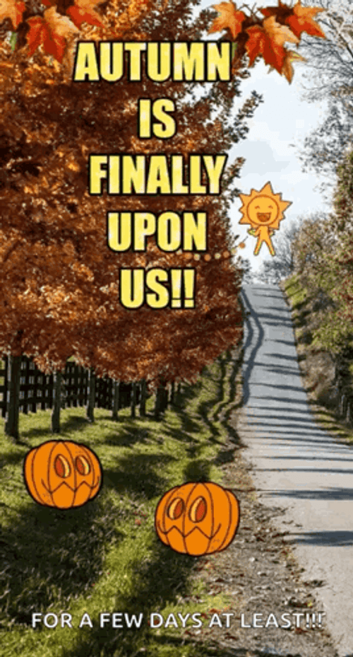 For Few Days At Least Happy Fall Sunday GIF