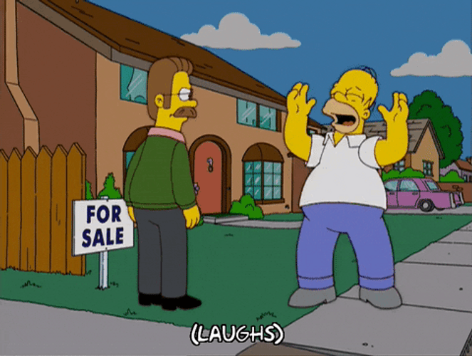 For Sale The Simpsons Homer And Ned Flanders GIF