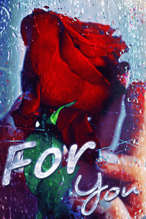 For You Rose In Rain GIF