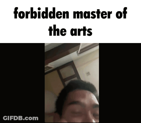 Forbidden Master Of The Arts Meme GIF