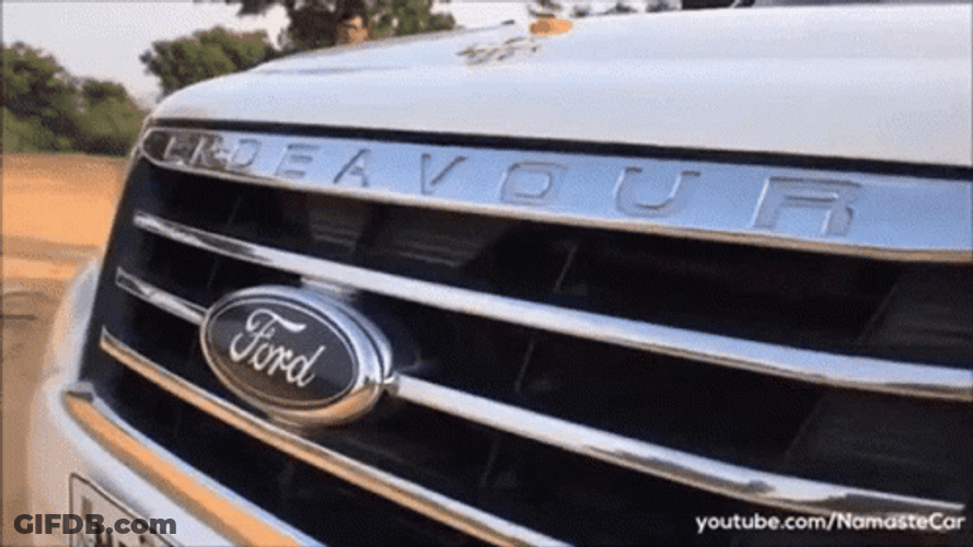Ford Logo Looking Handsome GIF
