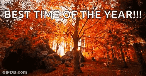Forest Best Time Of The Year GIF