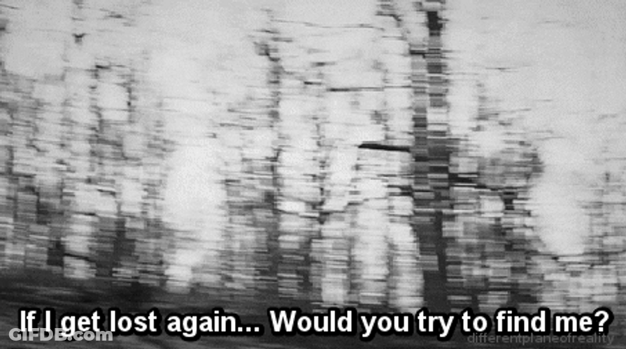 Forest Black And White GIF