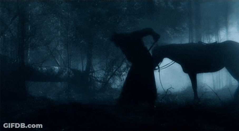Forest Dark Dig GIF