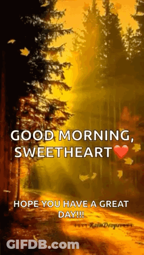 Forest Good Morning Sweetheart Hope You Have A Great Day GIF