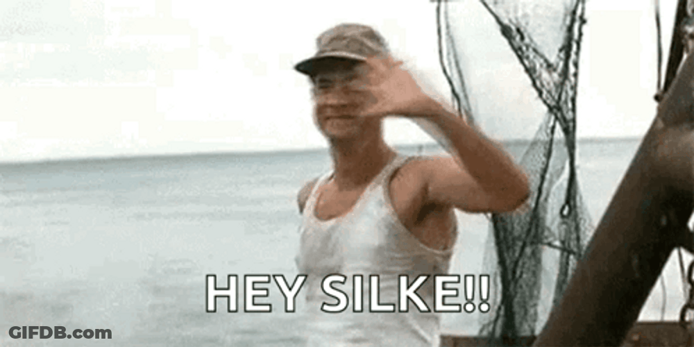Forest Gump Wave Hey Silke Tom Hanks GIF