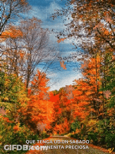 Forest Painting Que Tenga Ud Un Sabado Feliz Mi Nenita Preciosa GIF