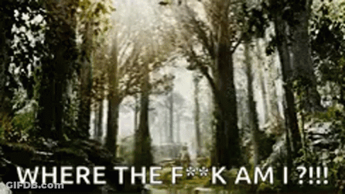 Forest Painting Saying Where The F*ck Am I GIF