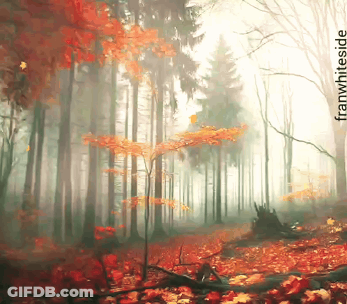 Forest Painting With Franwhite Signature GIF