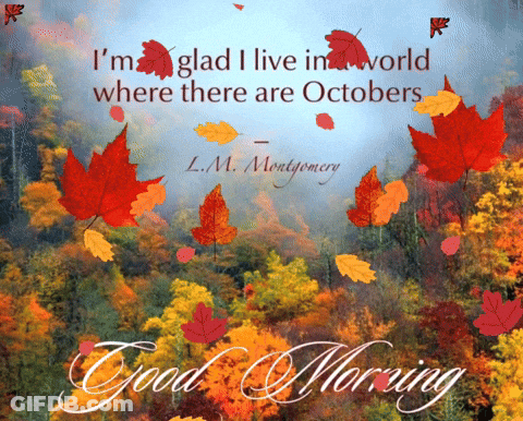 Forest Scene With L.M. Montgomery Quote GIF