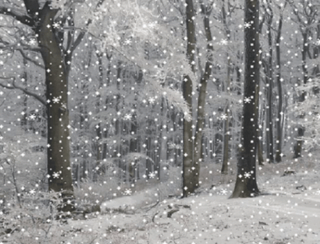 Forest Snow Falling GIF