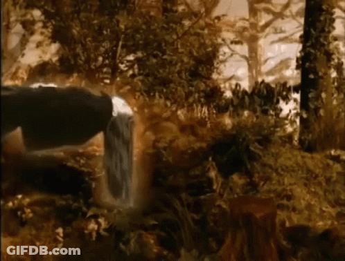 Forest Waterfall GIF
