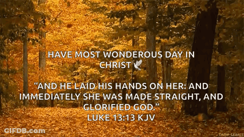 Forest With Bible Quote GIF